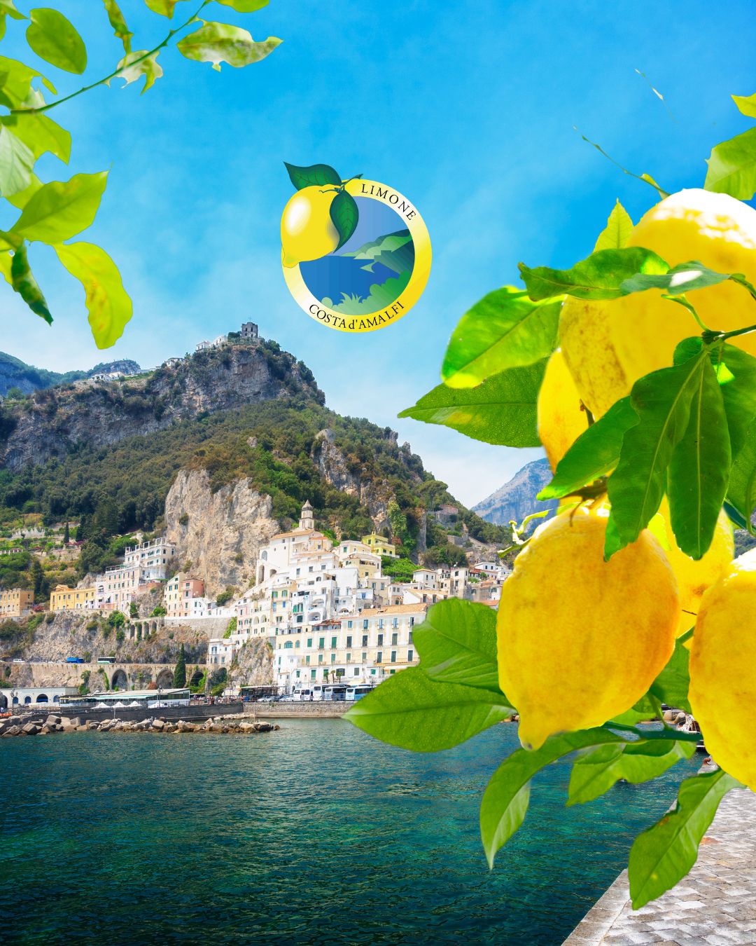 Cytryny z Amalfi ChOG, Zapach Wybrzeża Amalfitańskiego Prosto do Twojego Domu